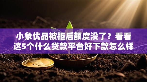 小象优品被拒后额度没了?看看这5个什么贷款平台好下款怎么样 小象优品被拒后额度没了?看看这5个什么贷款平台好下款怎么样