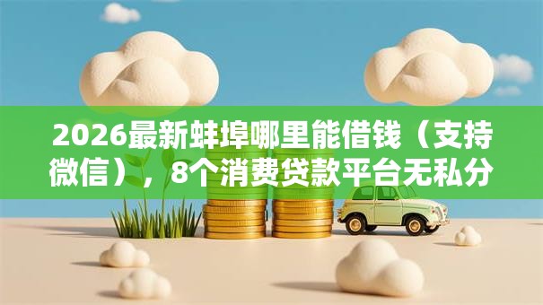 2026最新蚌埠哪里能借钱（支持微信），8个消费贷款平台无私分享