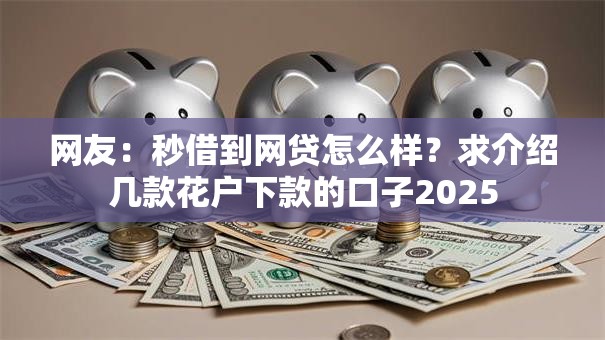 网友：秒借到网贷怎么样？求介绍几款花户下款的口子2025