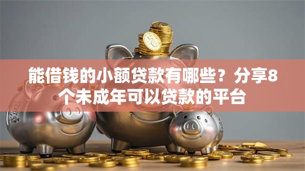 能借钱的小额贷款有哪些？分享8个未成年可以贷款的平台