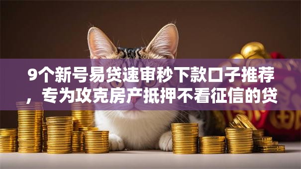9个新号易贷速审秒下款口子推荐，专为攻克房产抵押不看征信的贷款有哪些难题