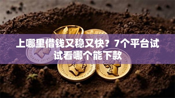 上哪里借钱又稳又快？7个平台试试看哪个能下款