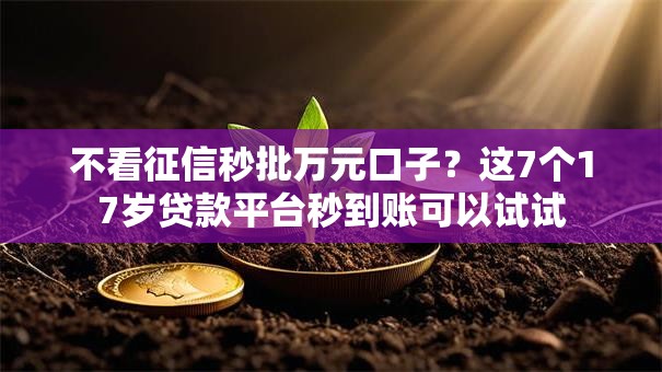 不看征信秒批万元口子？这7个17岁贷款平台秒到账可以试试