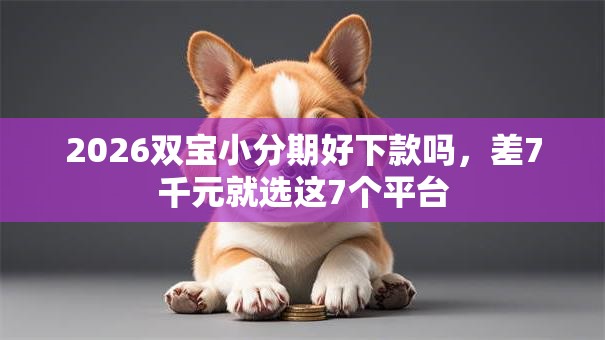 2026双宝小分期好下款吗，差7千元就选这7个平台