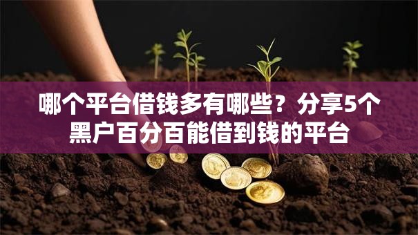 哪个平台借钱多有哪些？分享5个黑户百分百能借到钱的平台