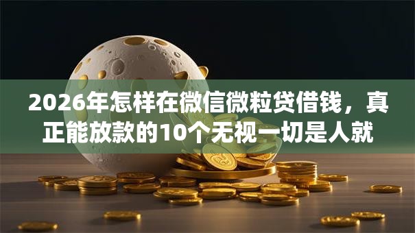 2026年怎样在微信微粒贷借钱，真正能放款的10个无视一切是人就下款app推荐