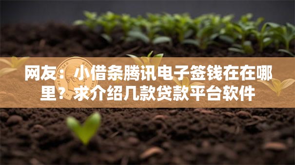 网友：小借条腾讯电子签钱在在哪里？求介绍几款贷款平台软件