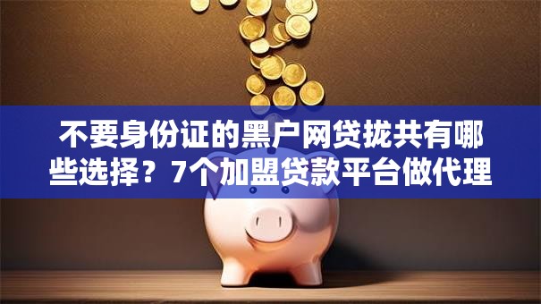 不要身份证的黑户网贷拢共有哪些选择？7个加盟贷款平台做代理详解