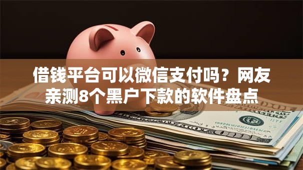 借钱平台可以微信支付吗？网友亲测8个黑户下款的软件盘点