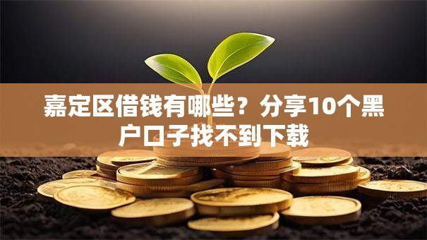 嘉定区借钱有哪些？分享10个黑户口子找不到下载