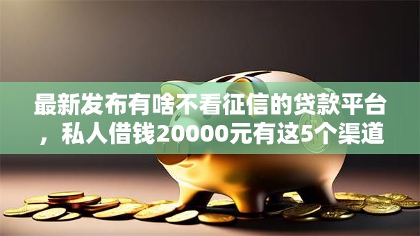 最新发布有啥不看征信的贷款平台，私人借钱20000元有这5个渠道
