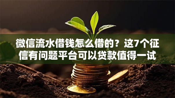 微信流水借钱怎么借的？这7个征信有问题平台可以贷款值得一试