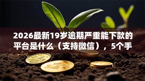 2026最新19岁逾期严重能下款的平台是什么（支持微信），5个手机和身份证快速借钱app无私分享