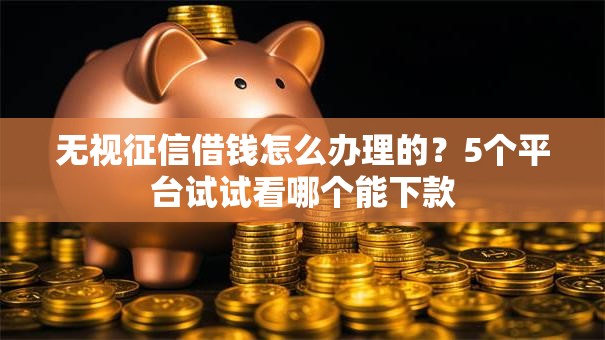 无视征信借钱怎么办理的？5个平台试试看哪个能下款