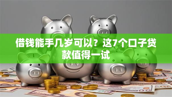借钱能手几岁可以？这7个口子贷款值得一试