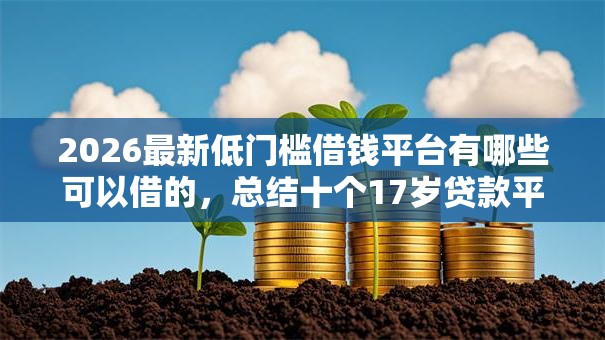 2026最新低门槛借钱平台有哪些可以借的，总结十个17岁贷款平台秒到账！