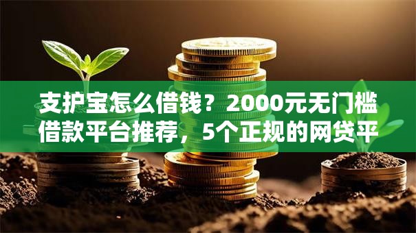 支护宝怎么借钱？2000元无门槛借款平台推荐，5个正规的网贷平台盘点