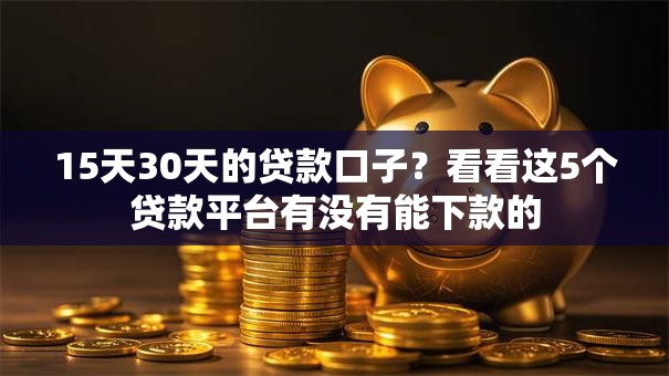 15天30天的贷款口子？看看这5个贷款平台有没有能下款的