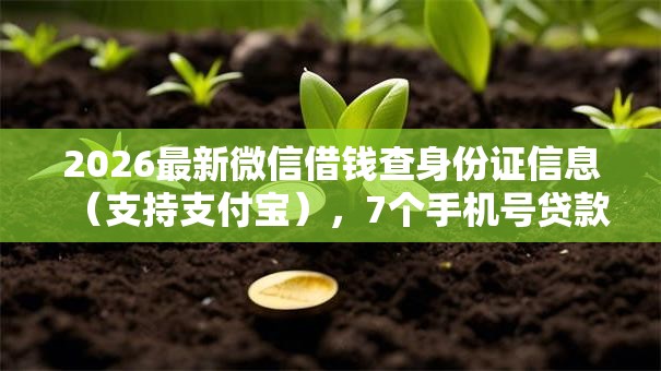 2026最新微信借钱查身份证信息（支持支付宝），7个手机号贷款平台无私分享