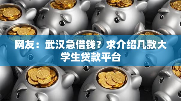 网友：武汉急借钱？求介绍几款大学生贷款平台