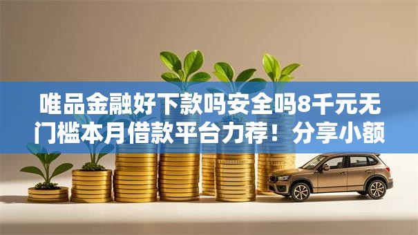 唯品金融好下款吗安全吗8千元无门槛本月借款平台力荐！分享小额网贷口子8千元无门槛借款