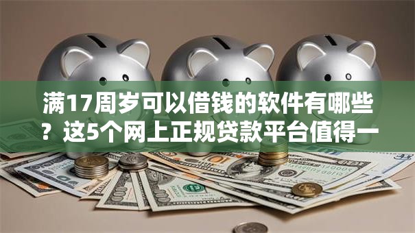 满17周岁可以借钱的软件有哪些？这5个网上正规贷款平台值得一试