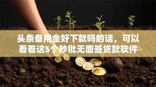 头条备用金好下款吗的话，可以看看这5个秒批无面签贷款软件