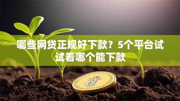 哪些网贷正规好下款？5个平台试试看哪个能下款