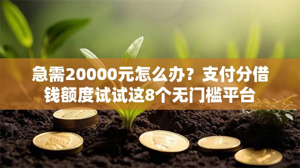 急需20000元怎么办?支付分借钱额度试试这8个无门槛平台 急需20000元怎么办?支付分借钱额度试试这8个无门槛平台