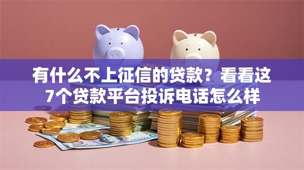 有什么不上征信的贷款？看看这7个贷款平台投诉电话怎么样
