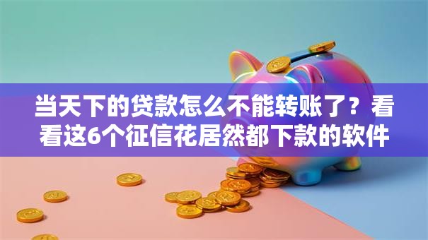 当天下的贷款怎么不能转账了？看看这6个征信花居然都下款的软件怎么样