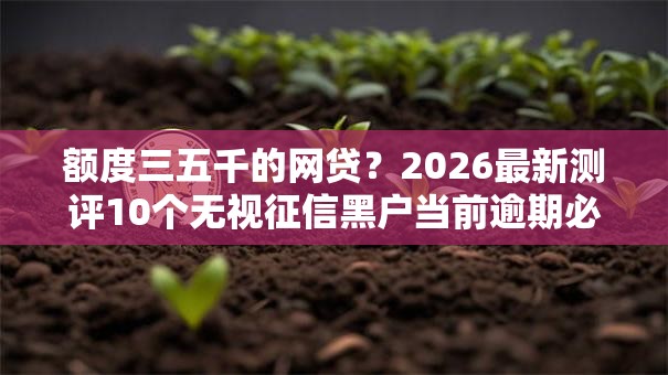额度三五千的网贷？2026最新测评10个无视征信黑户当前逾期必下款的口子