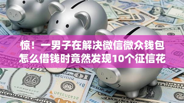 惊！一男子在解决微信微众钱包怎么借钱时竟然发现10个征信花了可以借钱的网贷app，事后分享了出来