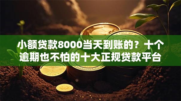 小额贷款8000当天到账的?十个逾期也不怕的十大正规贷款平台排名不分先后 小额贷款8000当天到账的?十个逾期也不怕的十大正规贷款平台排名不分先后