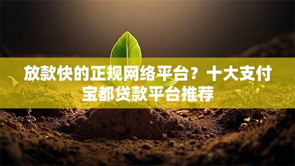 放款快的正规网络平台？十大支付宝都贷款平台推荐