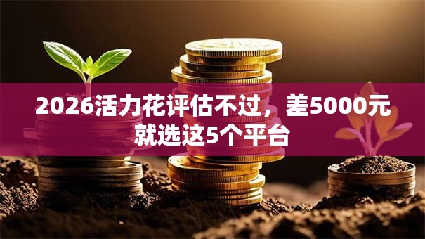 2026活力花评估不过，差5000元就选这5个平台