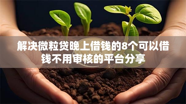 解决微粒贷晚上借钱的8个可以借钱不用审核的平台分享