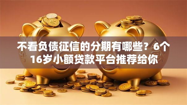 不看负债征信的分期有哪些？6个16岁小额贷款平台推荐给你