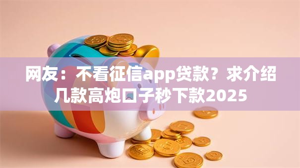 网友：不看征信app贷款？求介绍几款高炮口子秒下款2025