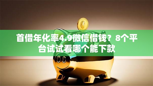 首借年化率4.9微信借钱？8个平台试试看哪个能下款