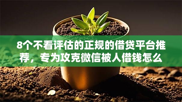 8个不看评估的正规的借贷平台推荐，专为攻克微信被人借钱怎么不借难题