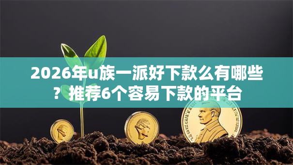 2026年u族一派好下款么有哪些？推荐6个容易下款的平台