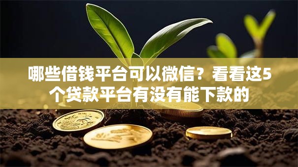 哪些借钱平台可以微信？看看这5个贷款平台有没有能下款的
