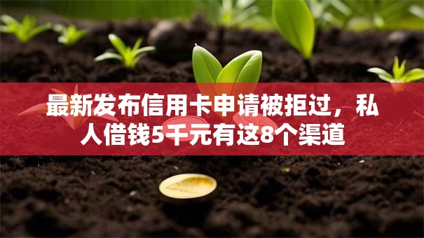 最新发布信用卡申请被拒过，私人借钱5千元有这8个渠道