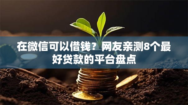 在微信可以借钱？网友亲测8个最好贷款的平台盘点
