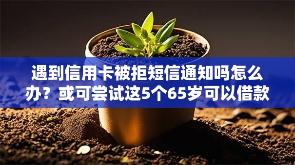 遇到信用卡被拒短信通知吗怎么办？或可尝试这5个65岁可以借款的平台
