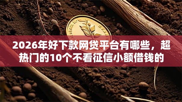 2026年好下款网贷平台有哪些，超热门的10个不看征信小额借钱的平台推荐