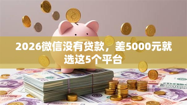 2026微信没有贷款，差5000元就选这5个平台