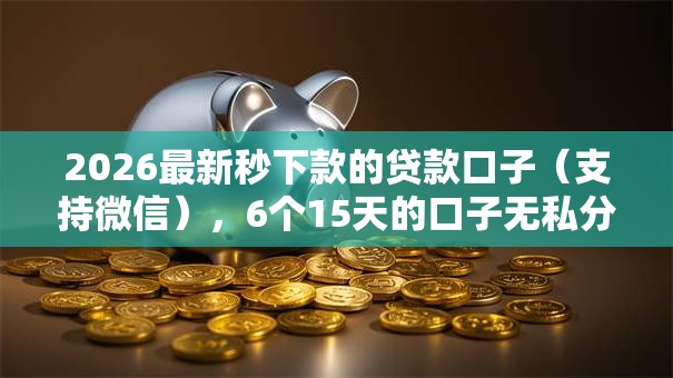 2026最新秒下款的贷款口子（支持微信），6个15天的口子无私分享