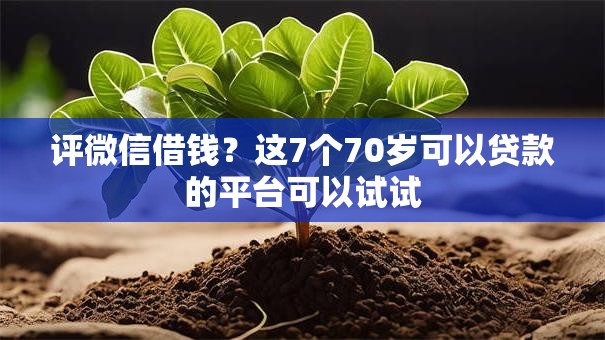 评微信借钱？这7个70岁可以贷款的平台可以试试